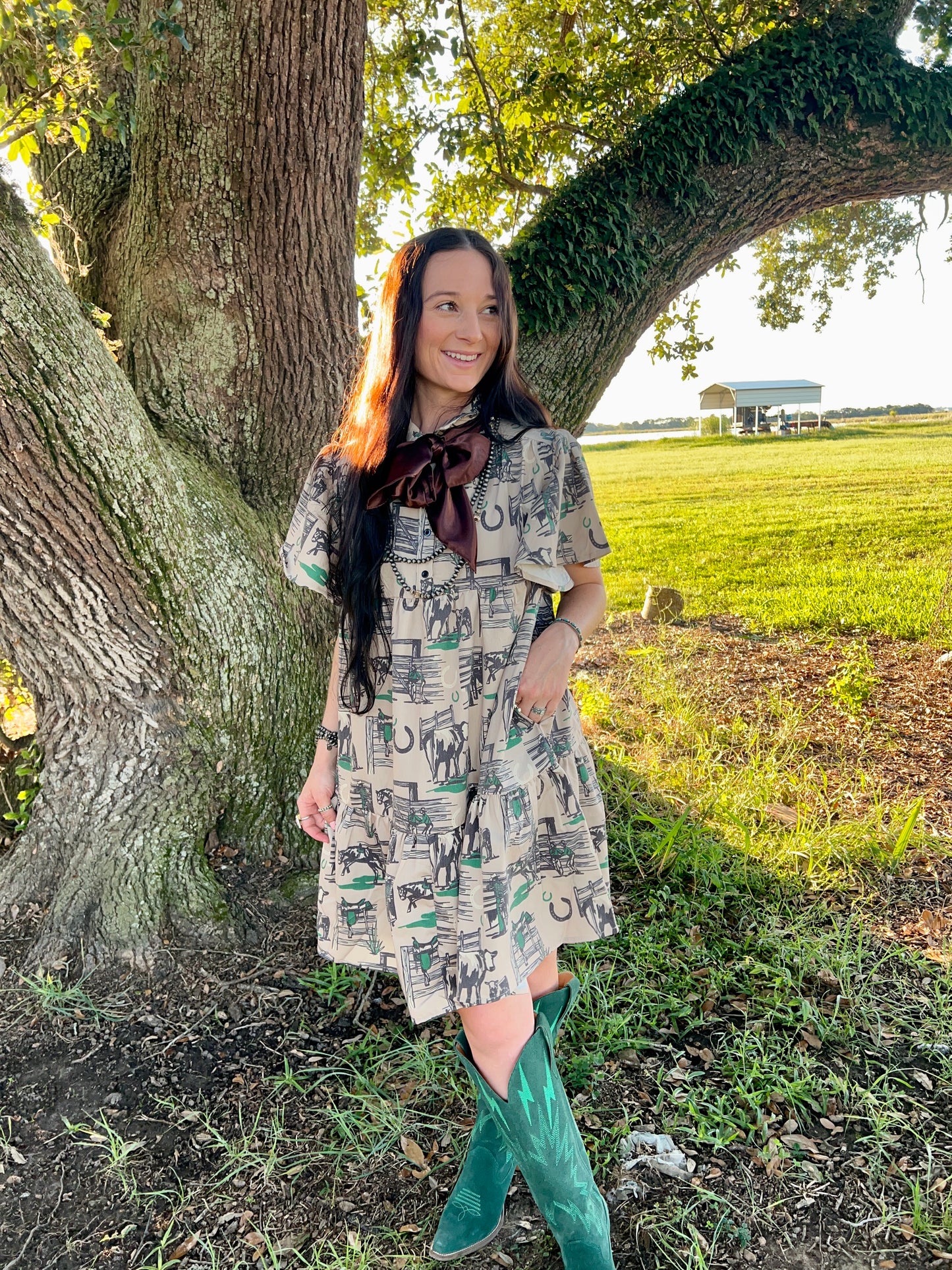 The Hitch Post Dress