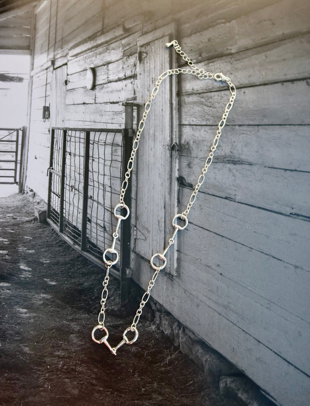 The Horse Bit Multi Necklace