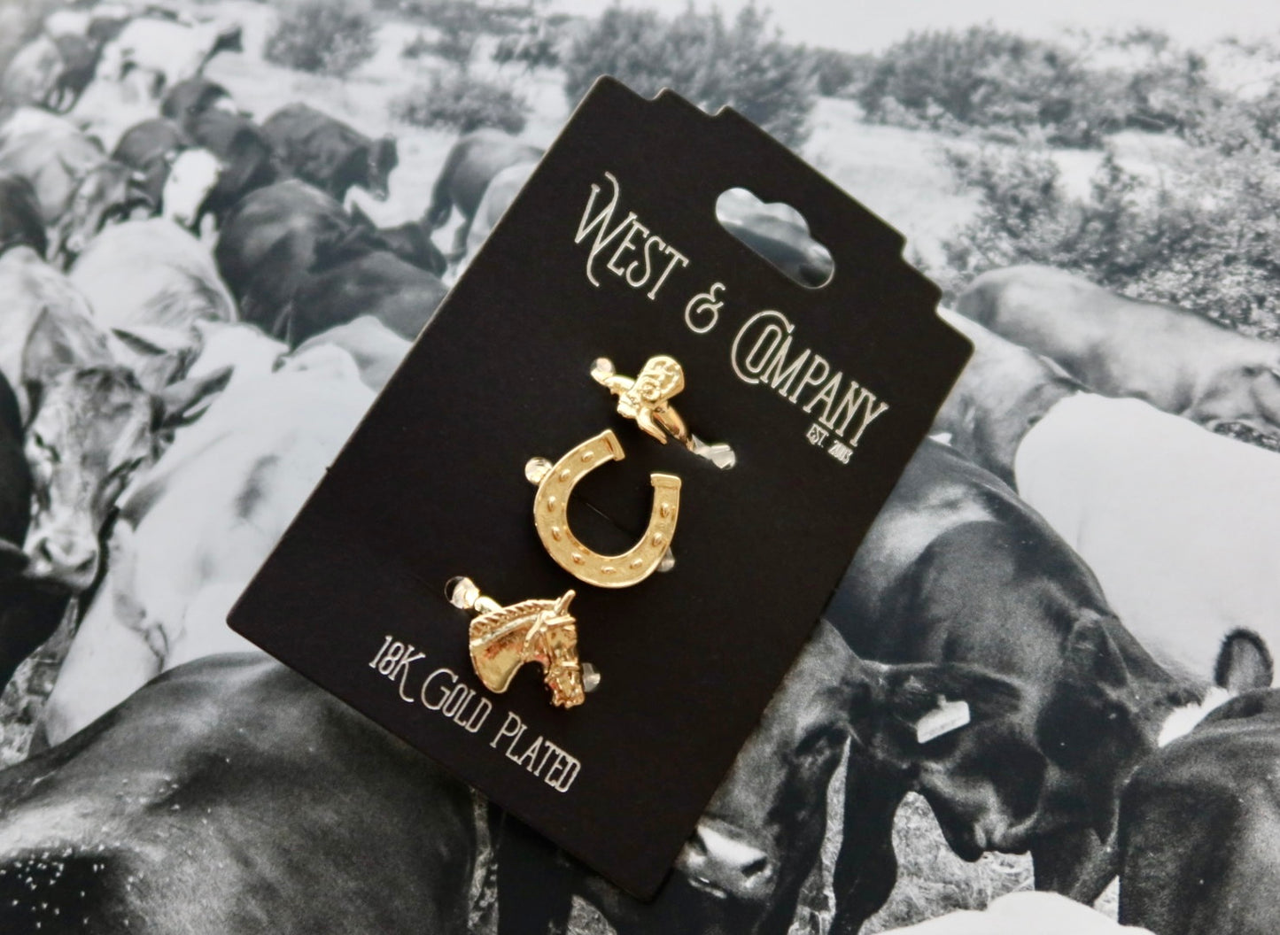 18K Adjustable Ring Set Celebrating Western Spirit