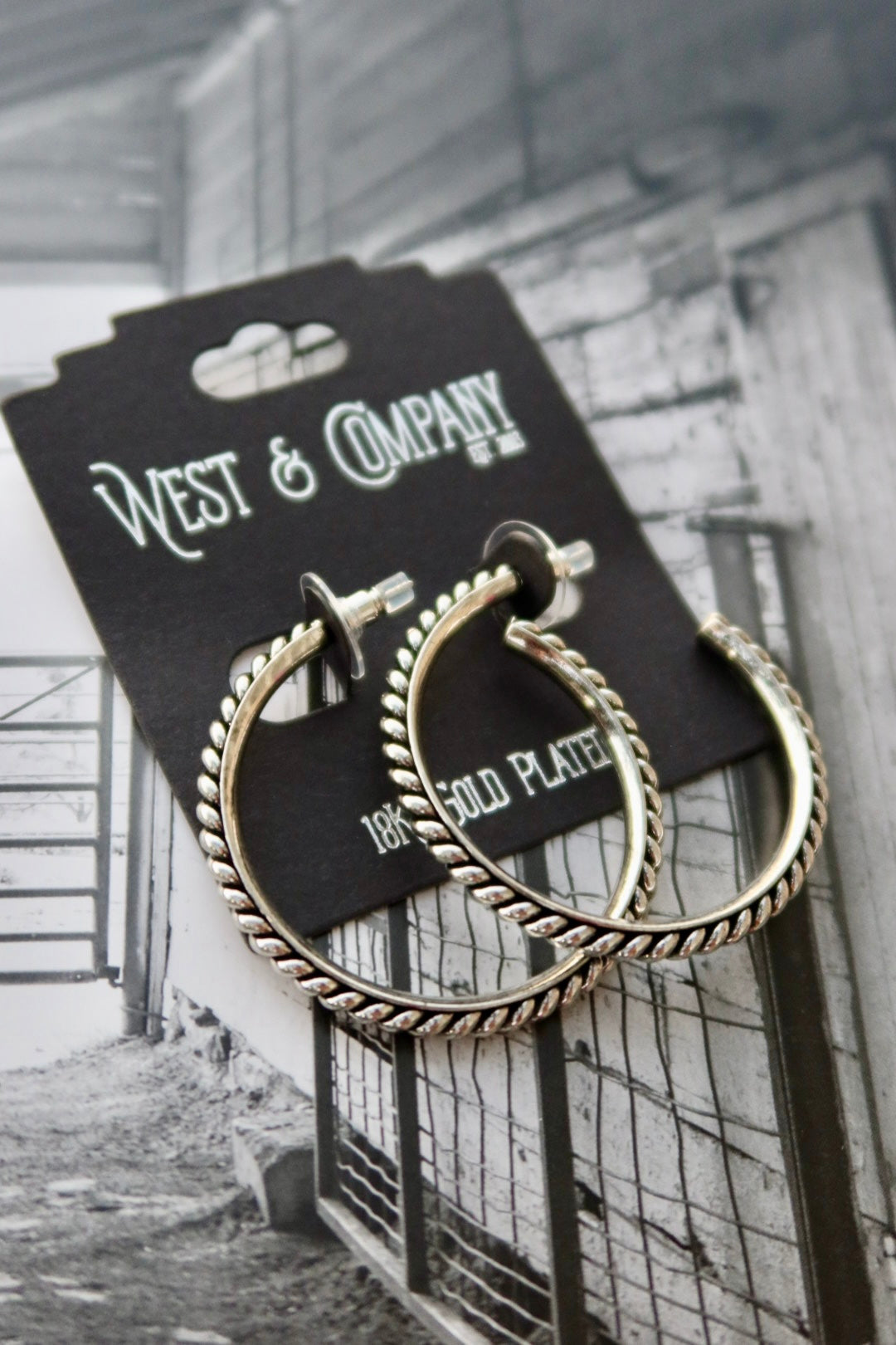 18K White Gold Plated Hoop Earrings