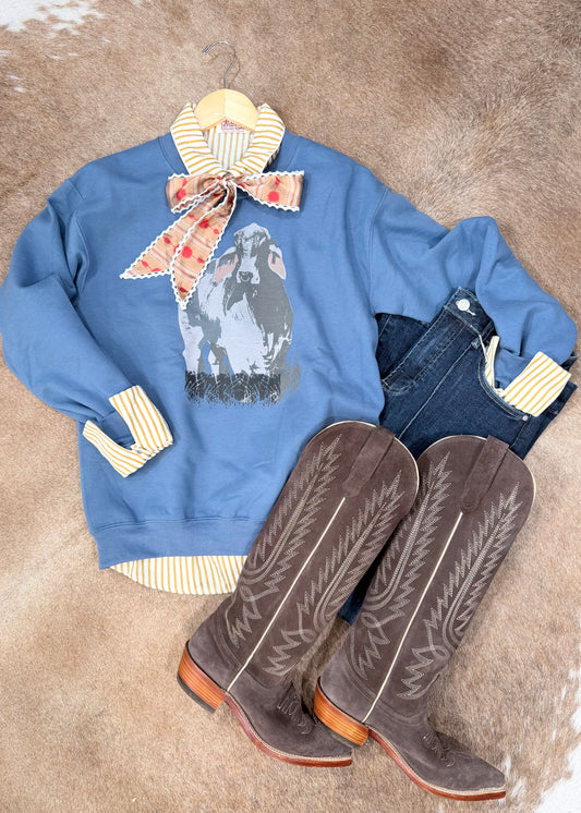The Brahman Crewneck Sweatshirt