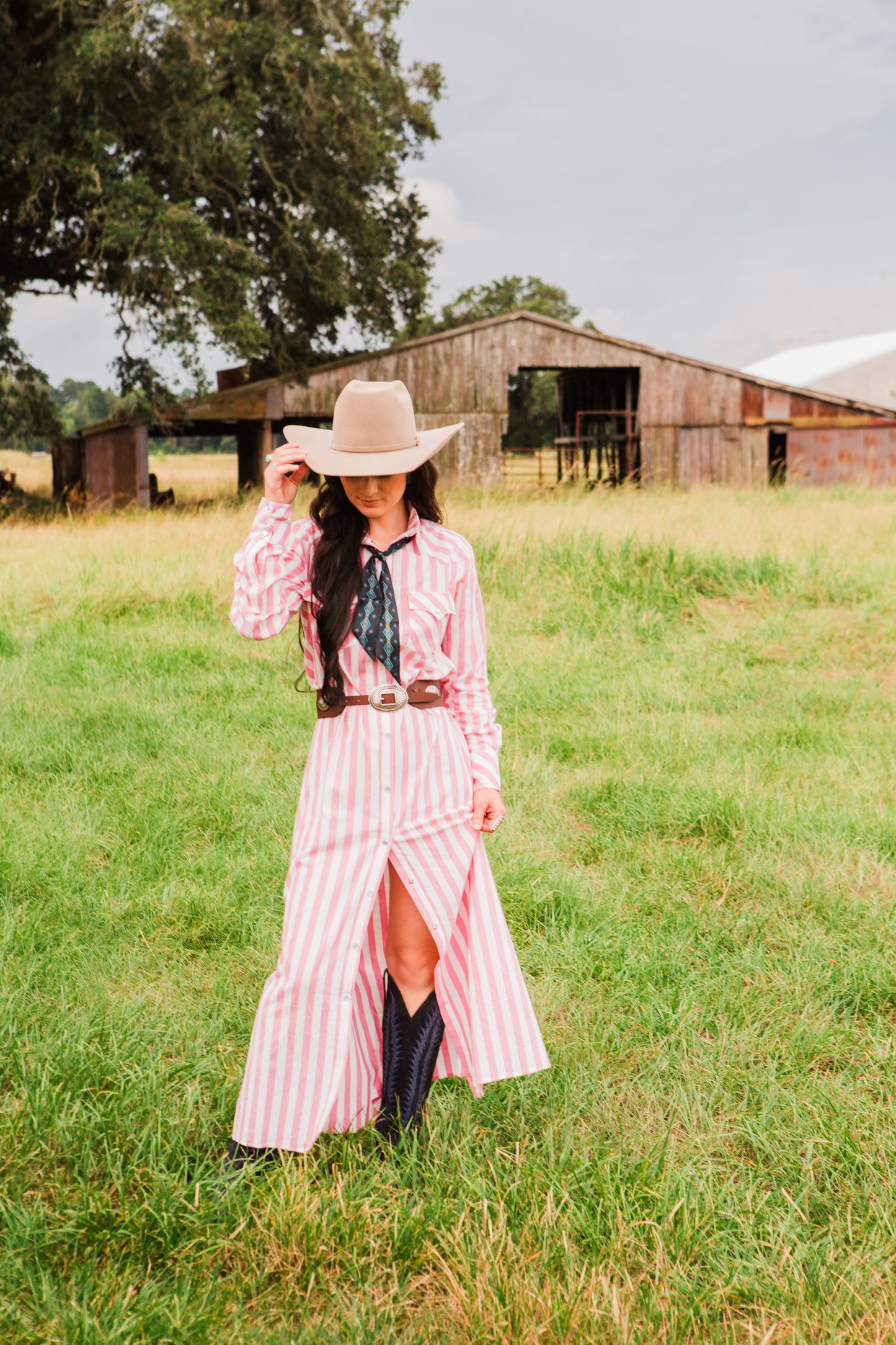 The Dakota Jane Snap Dress