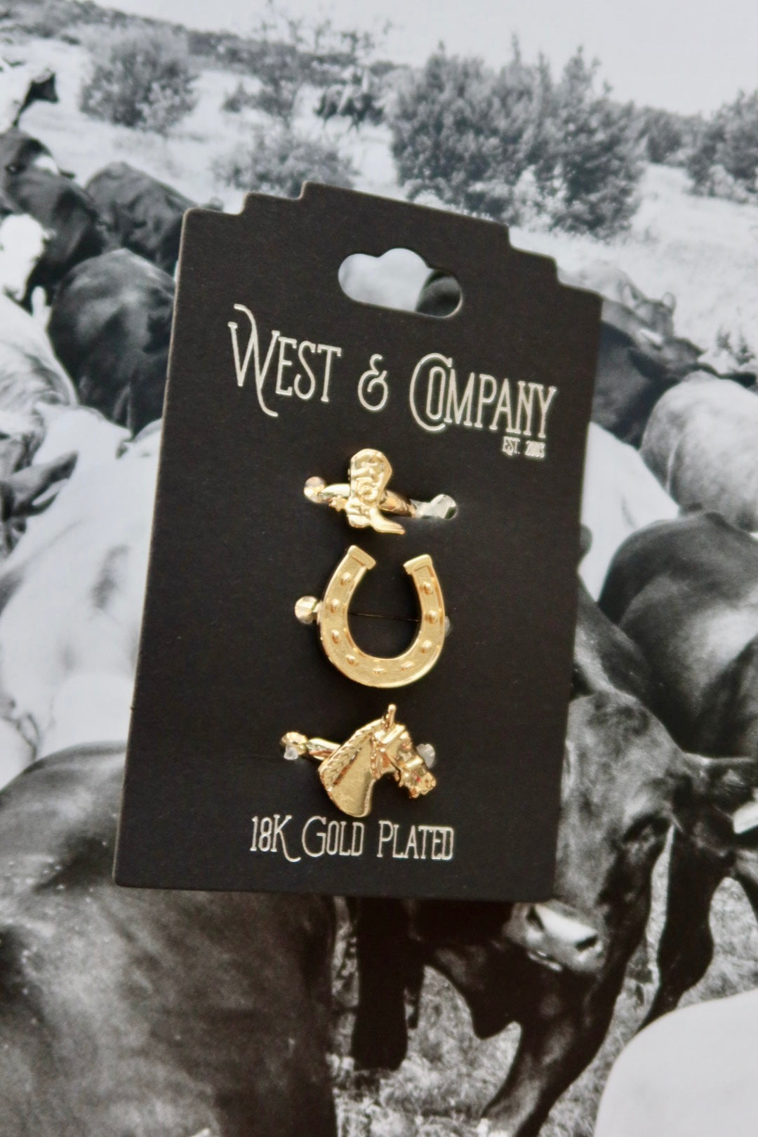 18K Adjustable Ring Set Celebrating Western Spirit