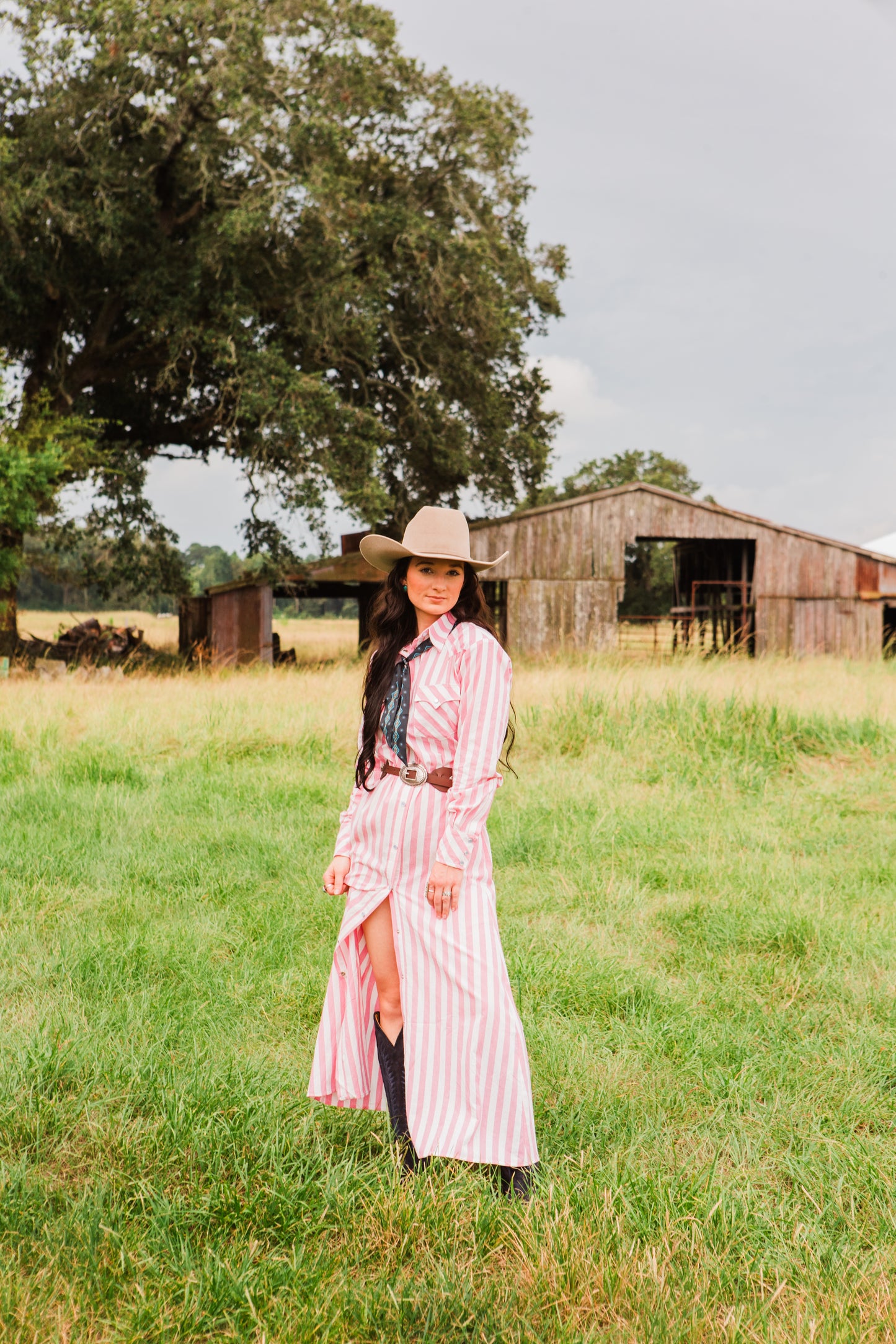 The Dakota Jane Snap Dress