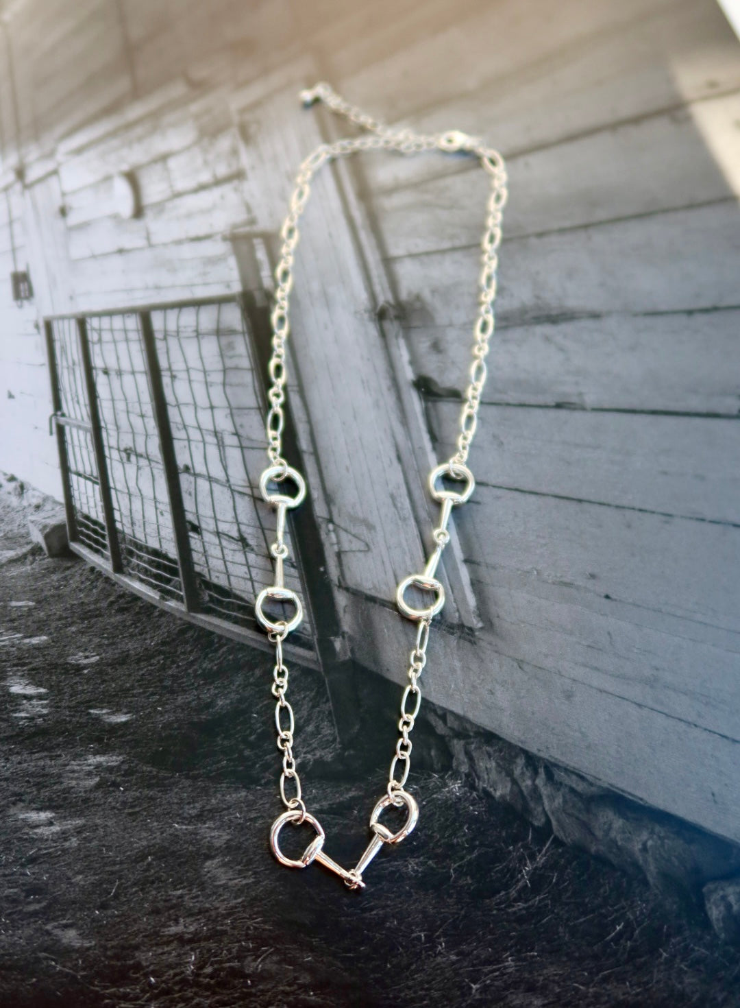 The Horse Bit Multi Necklace