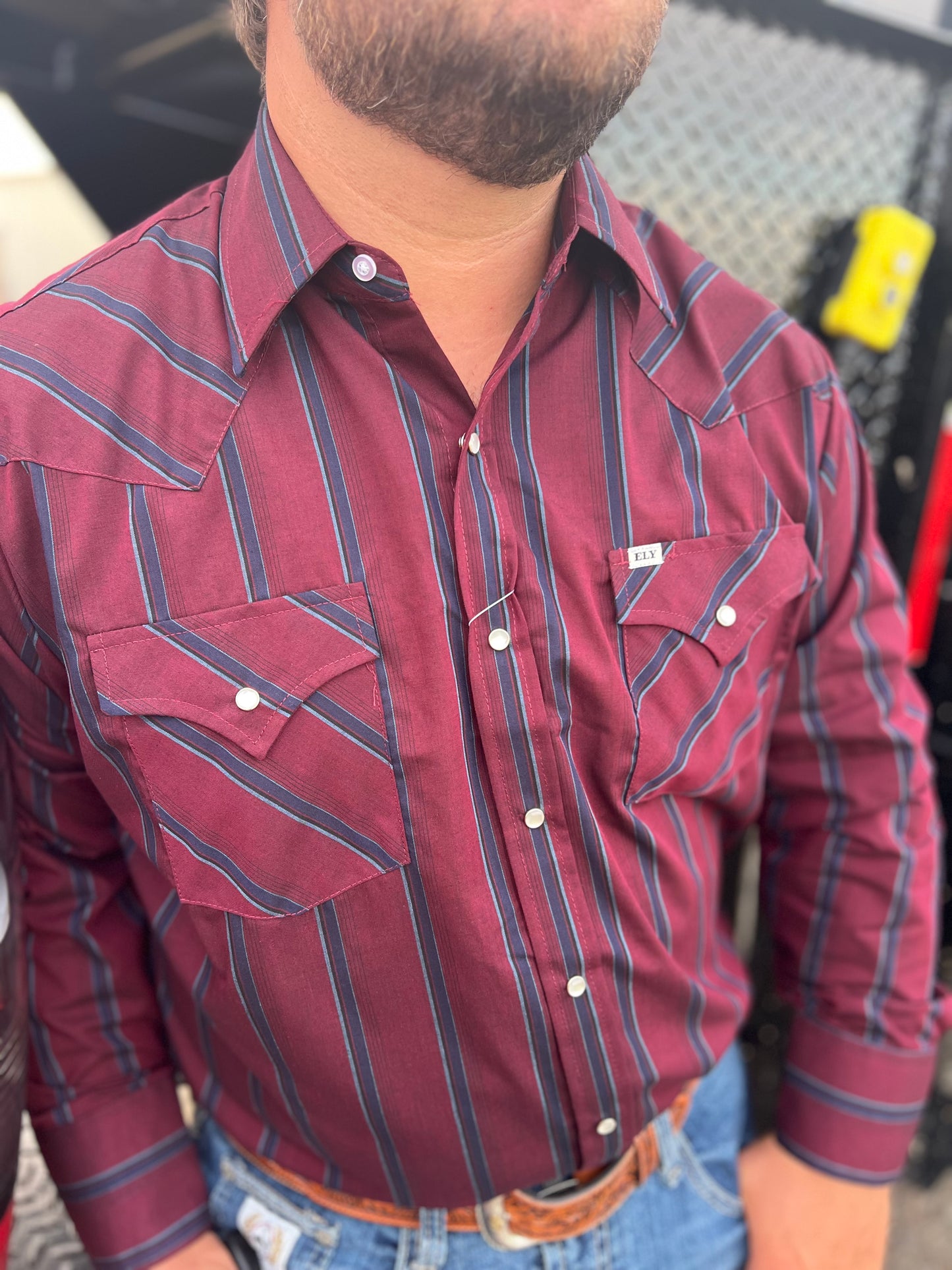 Assorted Stripe Pearl Snap- Long Sleeve (mult. Colors)