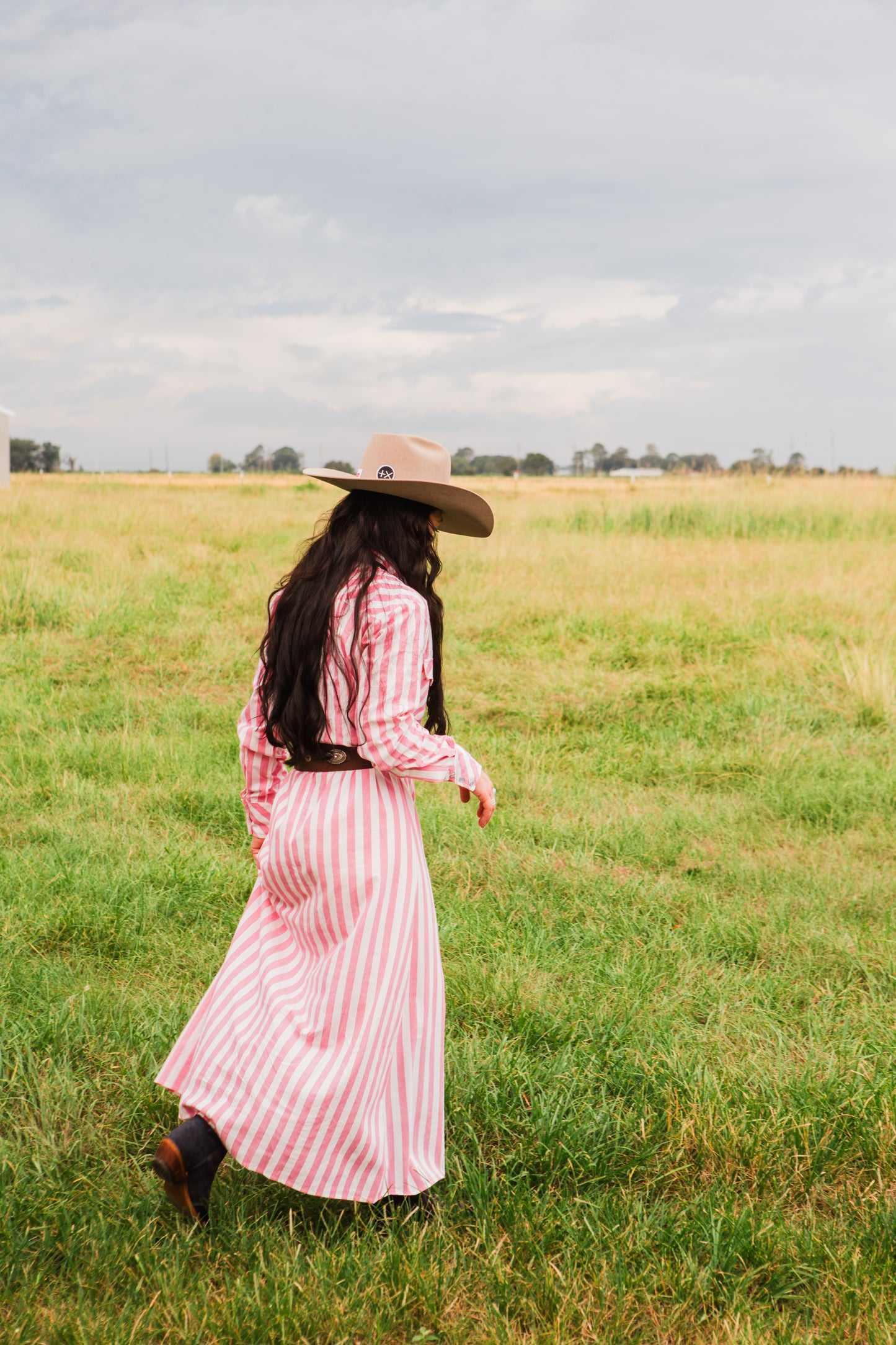 The Dakota Jane Snap Dress