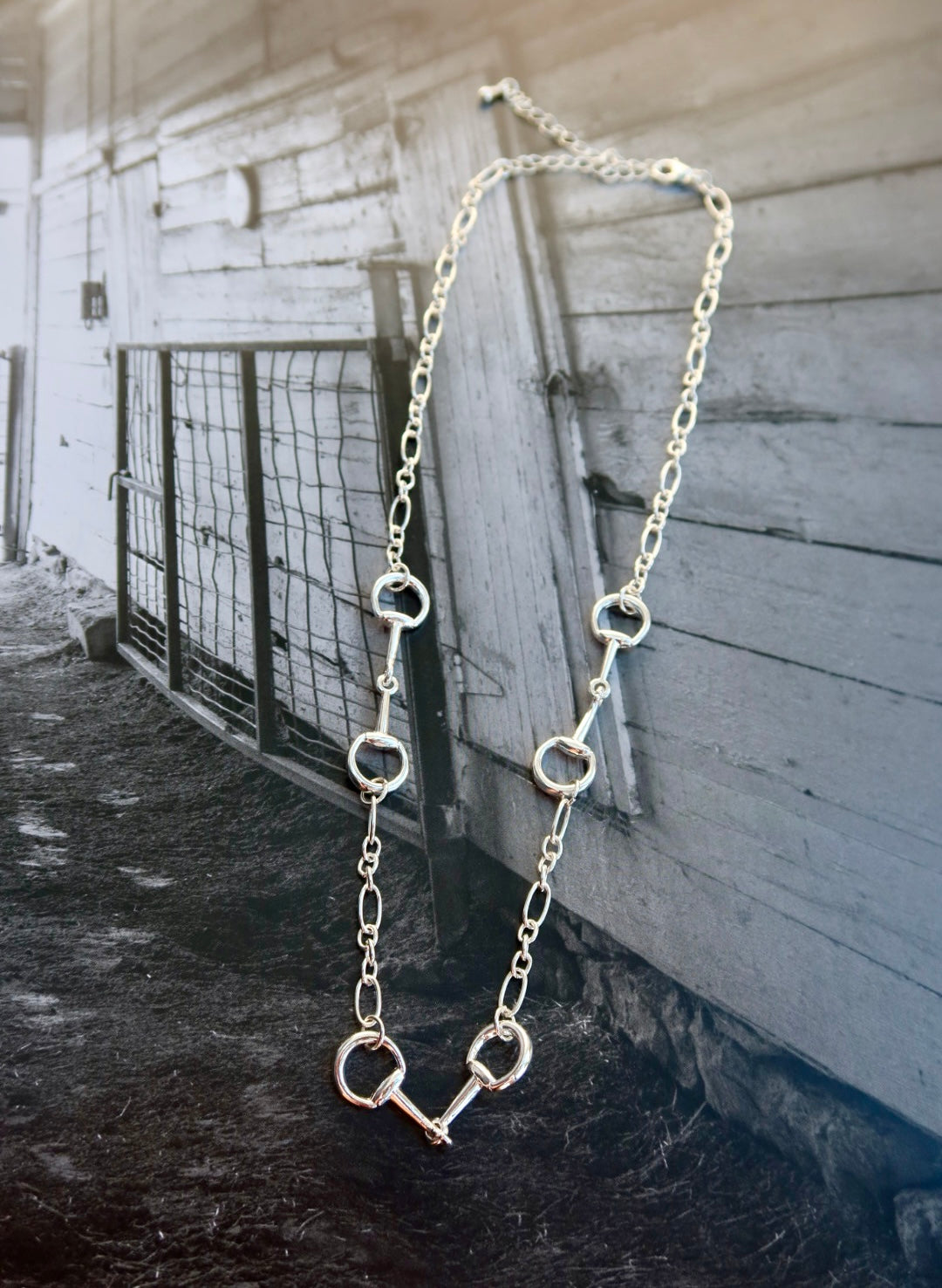 The Horse Bit Multi Necklace