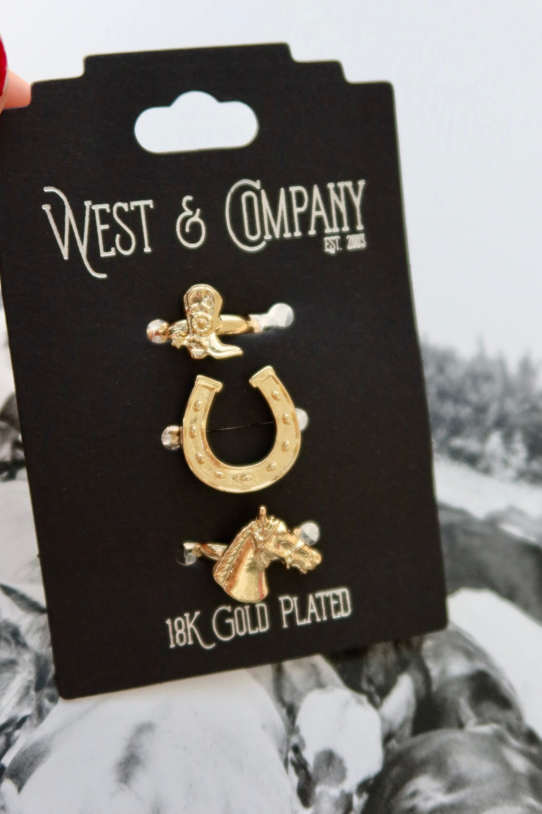 18K Adjustable Ring Set Celebrating Western Spirit