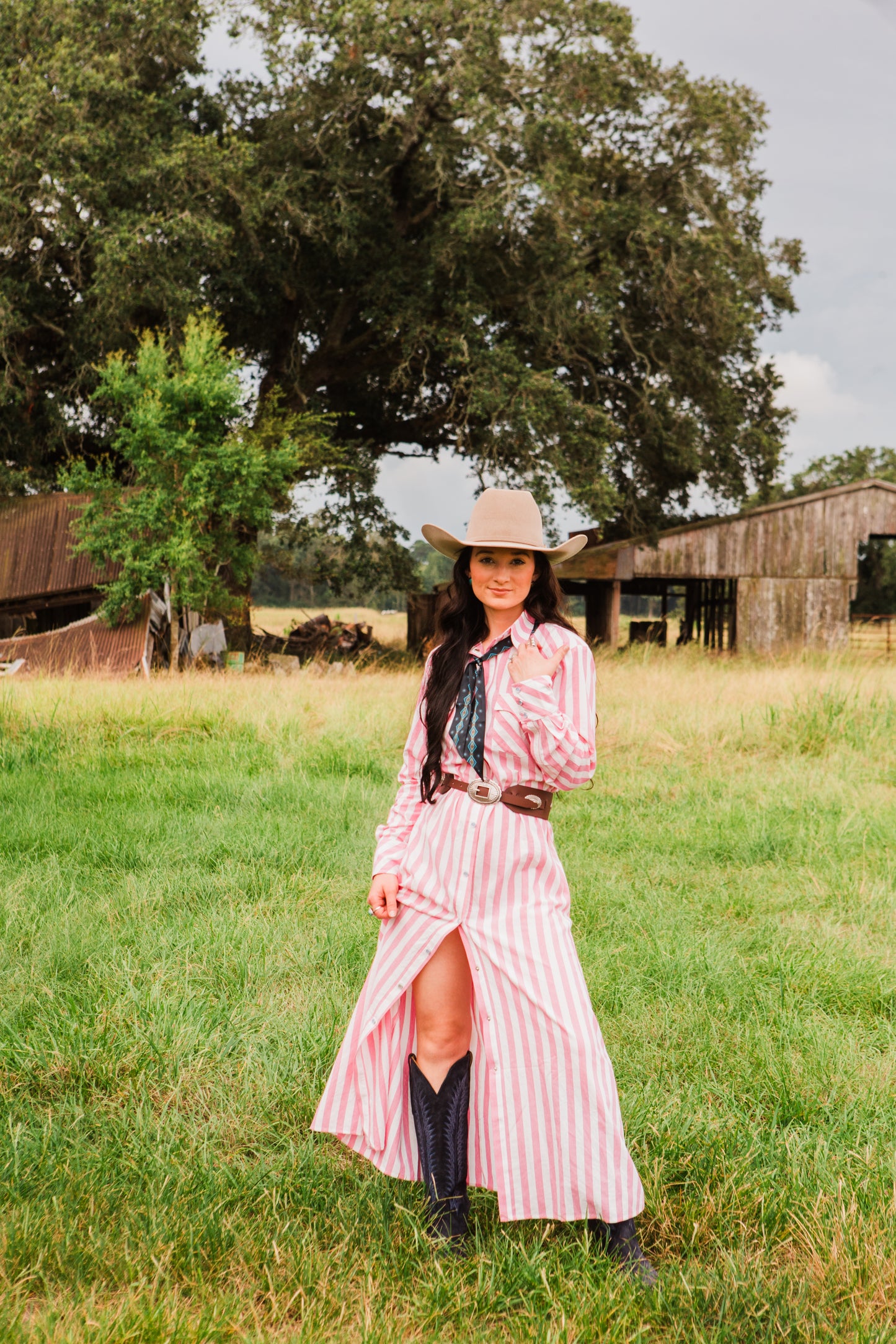 The Dakota Jane Snap Dress