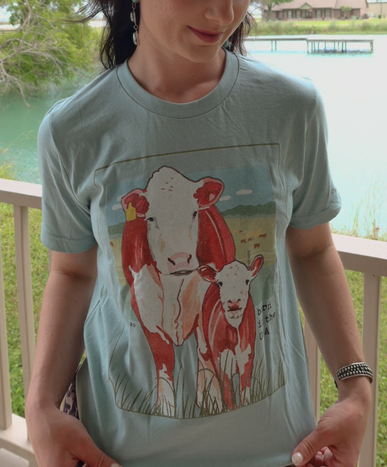 Born in the USA Graphic