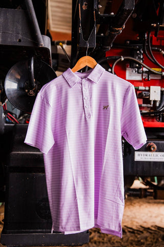 Clubhouse Polo in Lavender