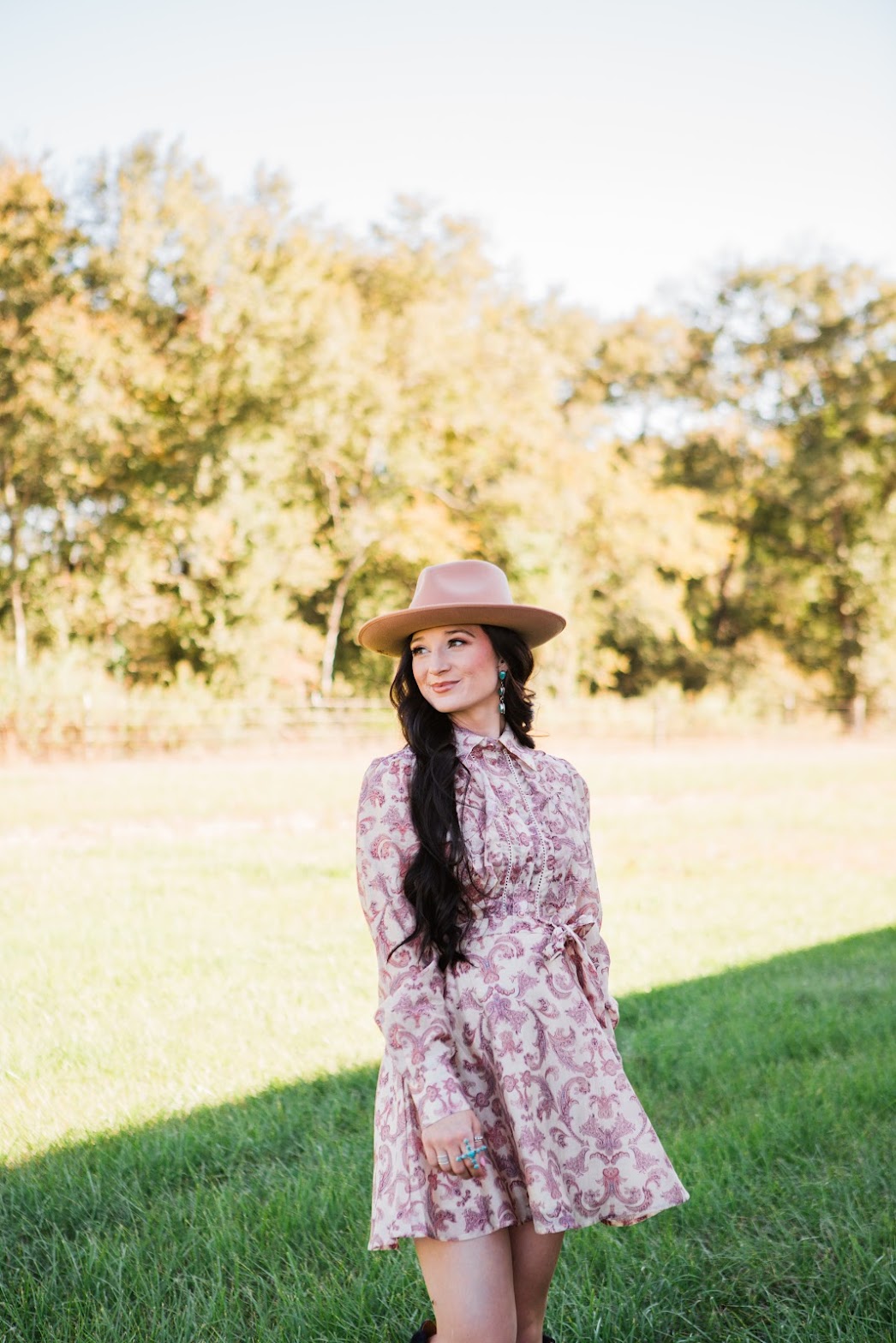 The Silver Spur Dress