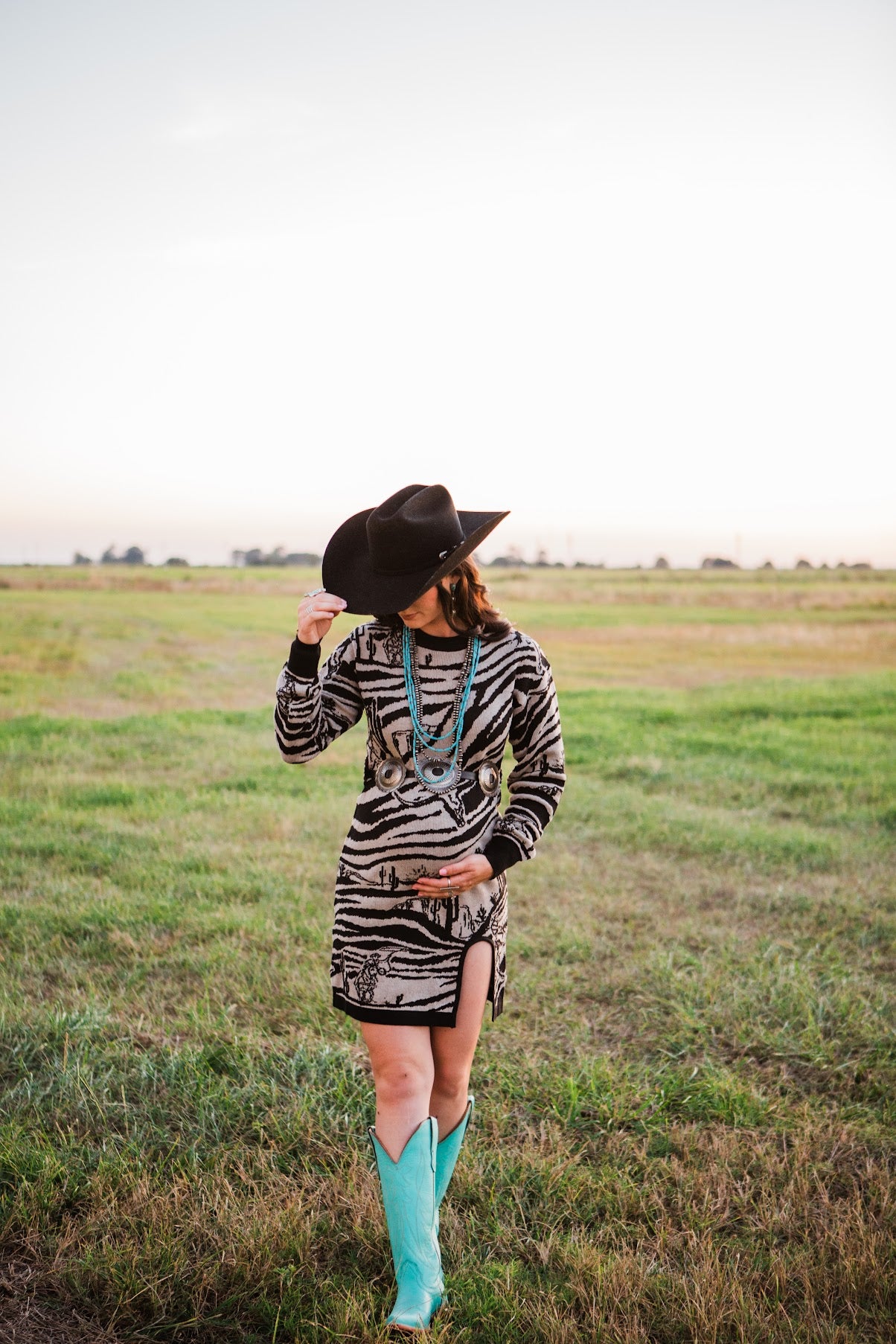Wild West Zoo Sweater Dress, Large