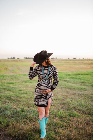 Wild West Zoo Sweater Dress