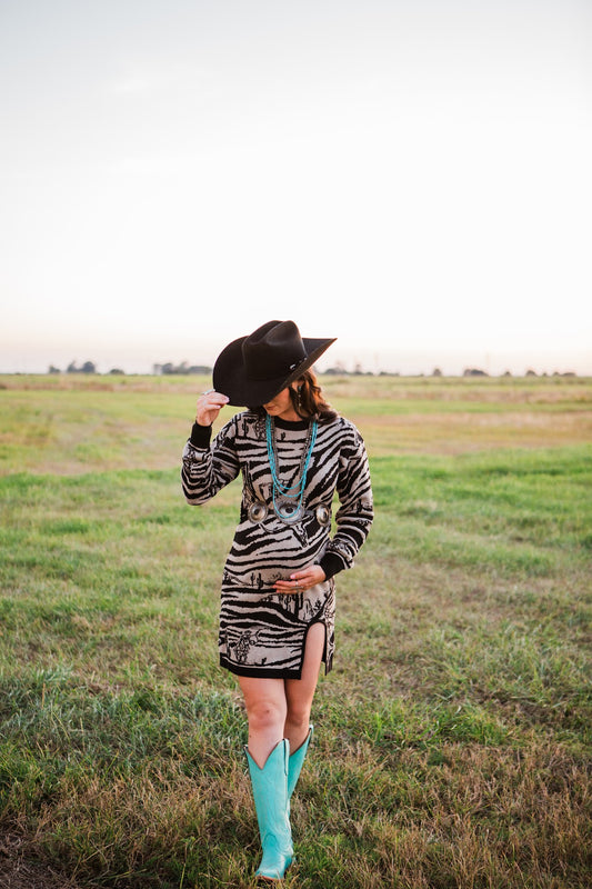 Wild West Zoo Sweater Dress