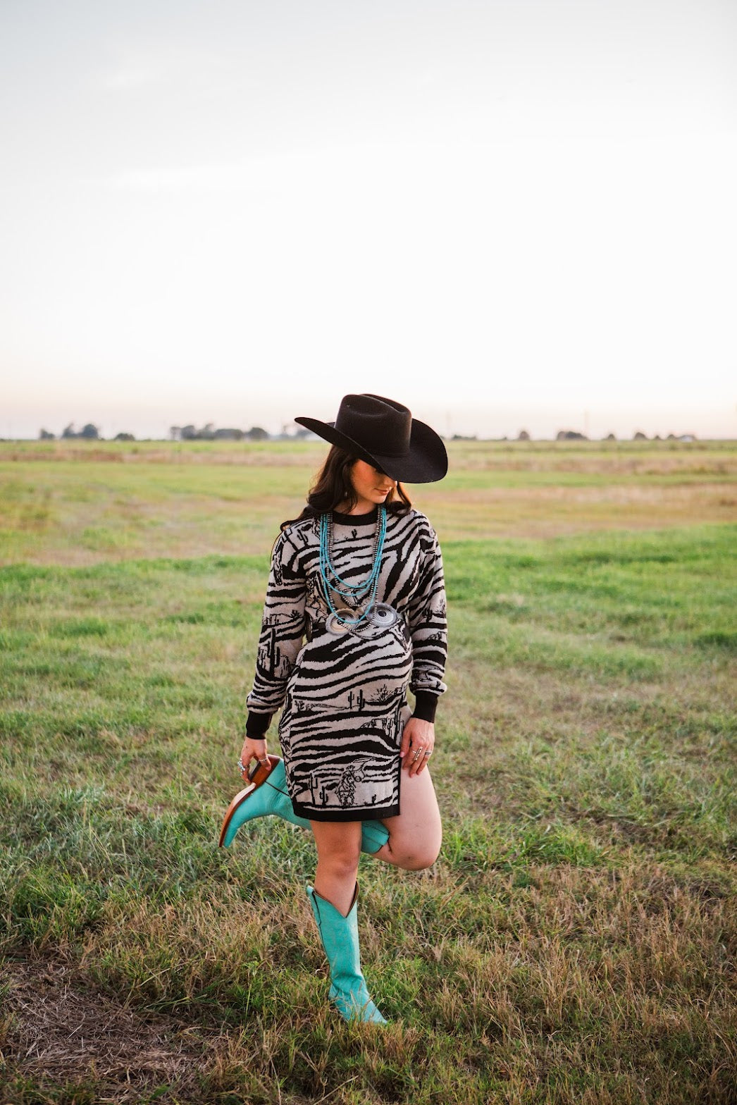 Wild West Zoo Sweater Dress