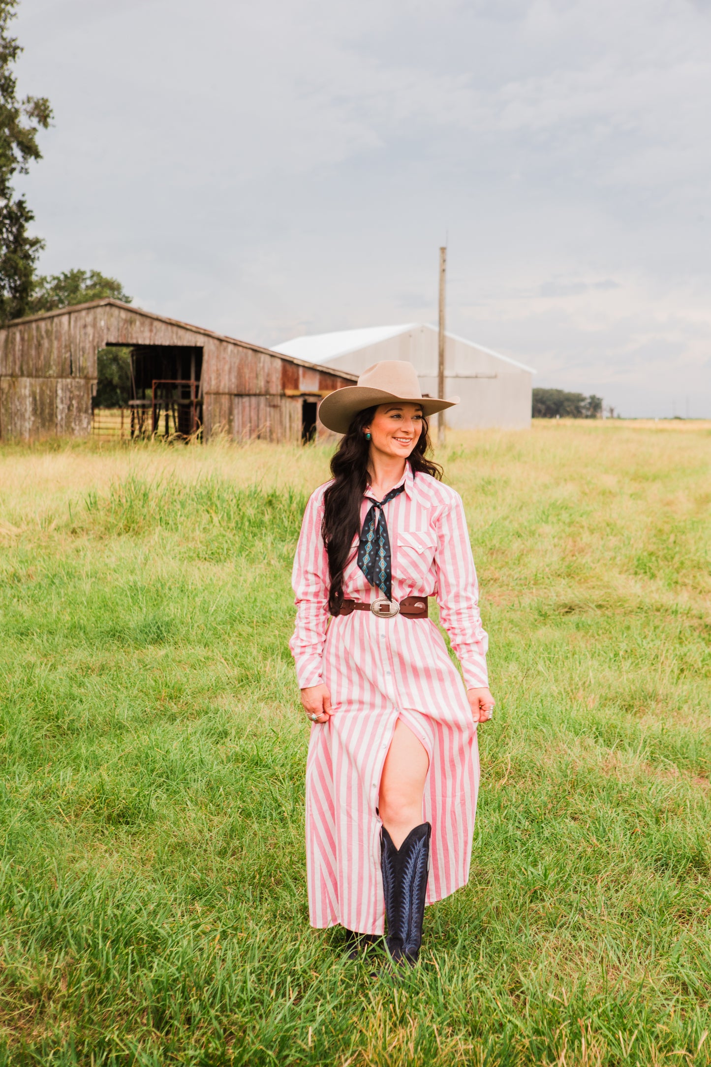 The Dakota Jane Snap Dress