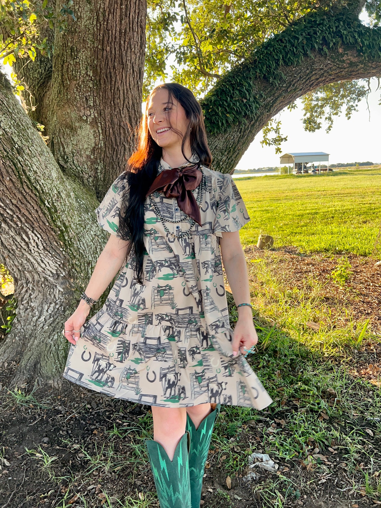 The Hitch Post Dress