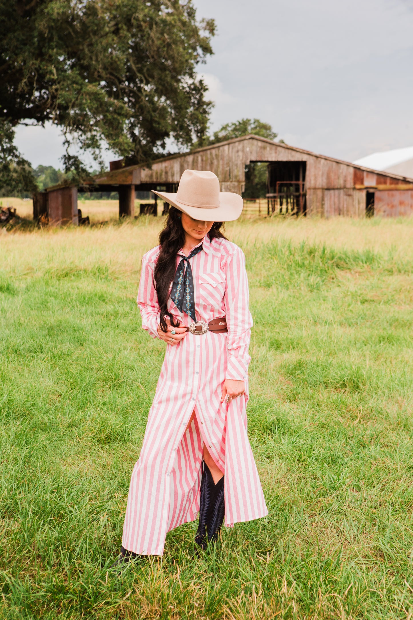 The Dakota Jane Snap Dress