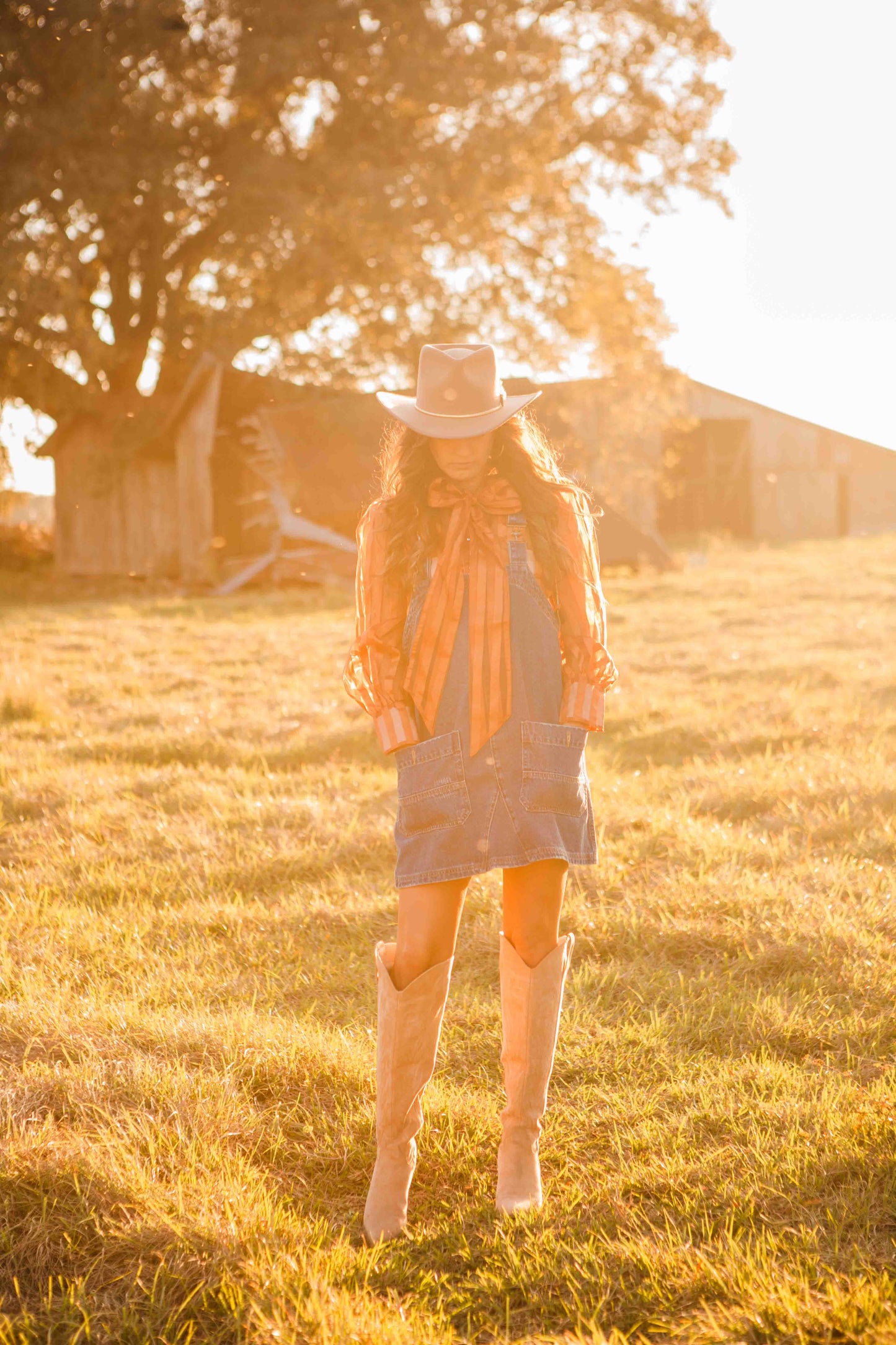 Colter Mini Dress