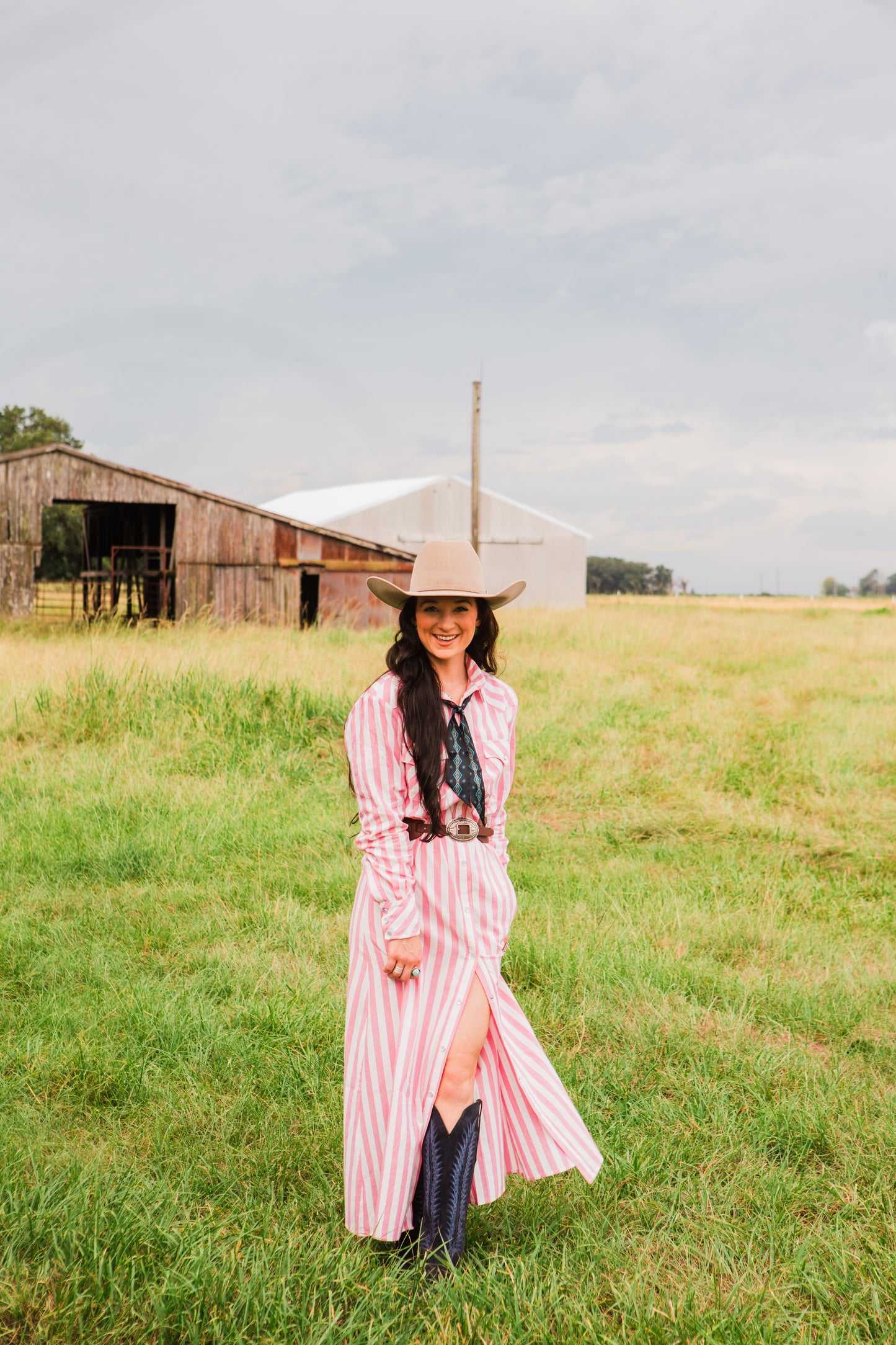 The Dakota Jane Snap Dress