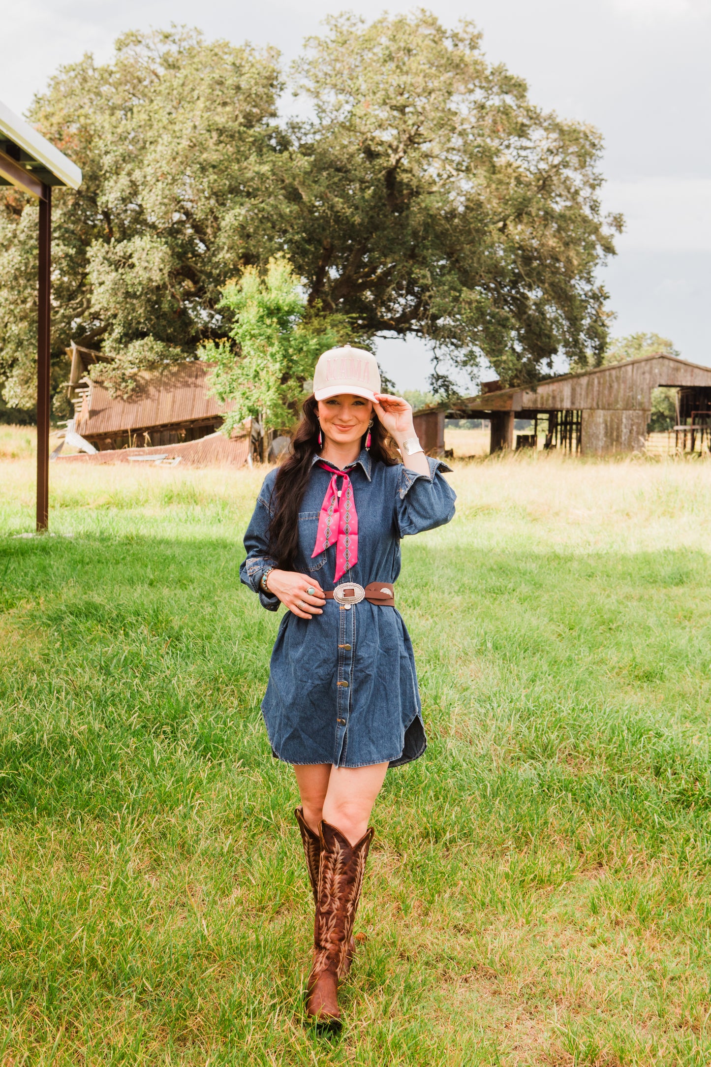 The Annie Denim Dress