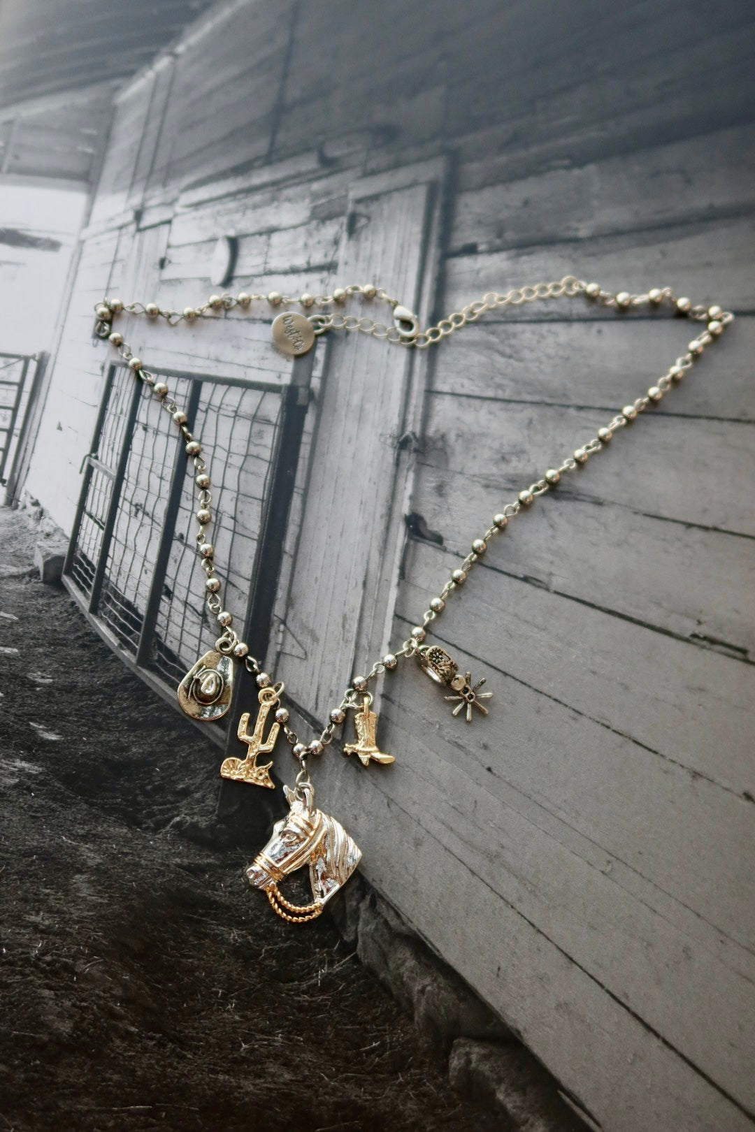 18K Two Tone Western Charm Necklace