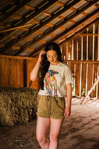 Pop of Color- Lamb Graphic